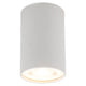 TOP WHITE Plafonieră 1x10W GU10