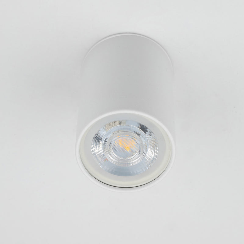 TOP WHITE Plafonieră 1x10W GU10
