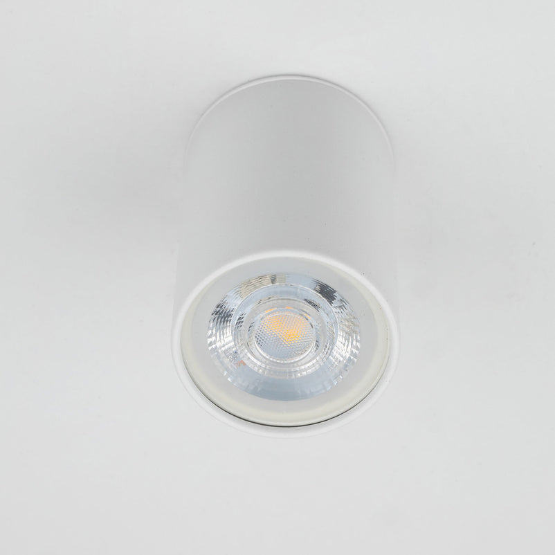 TOP WHITE Plafonieră 1x10W GU10