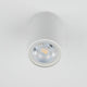 TOP WHITE Plafonieră 1x10W GU10
