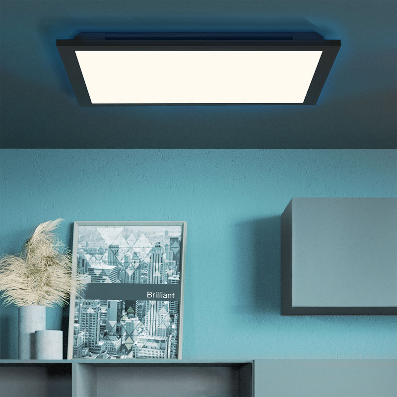 ALLIE Plafonieră 24W LED