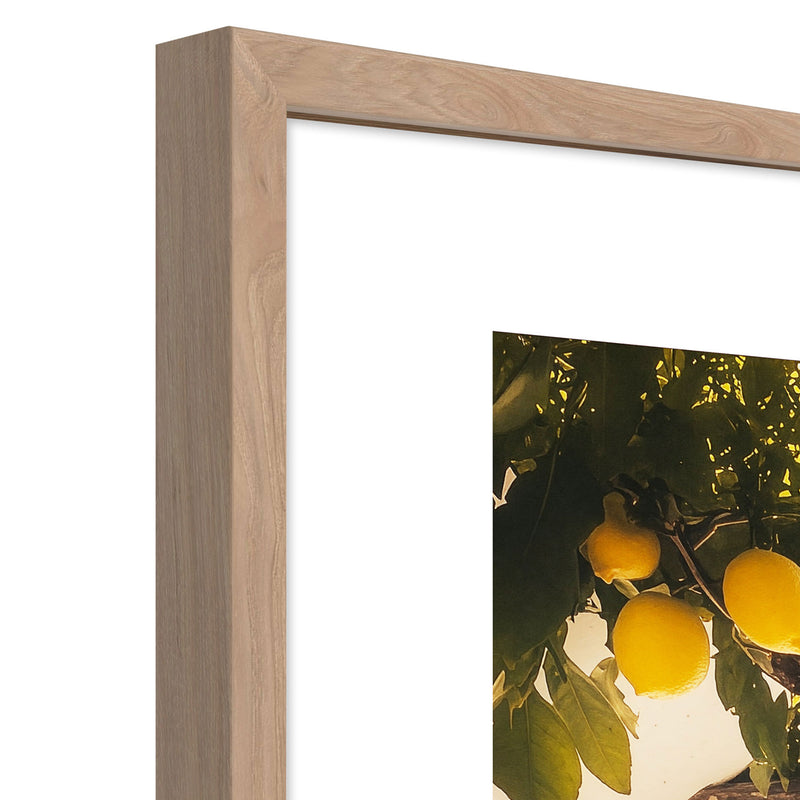 LEMON VIE Tablou