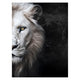 LION Tablou canvas