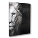 LION Tablou canvas