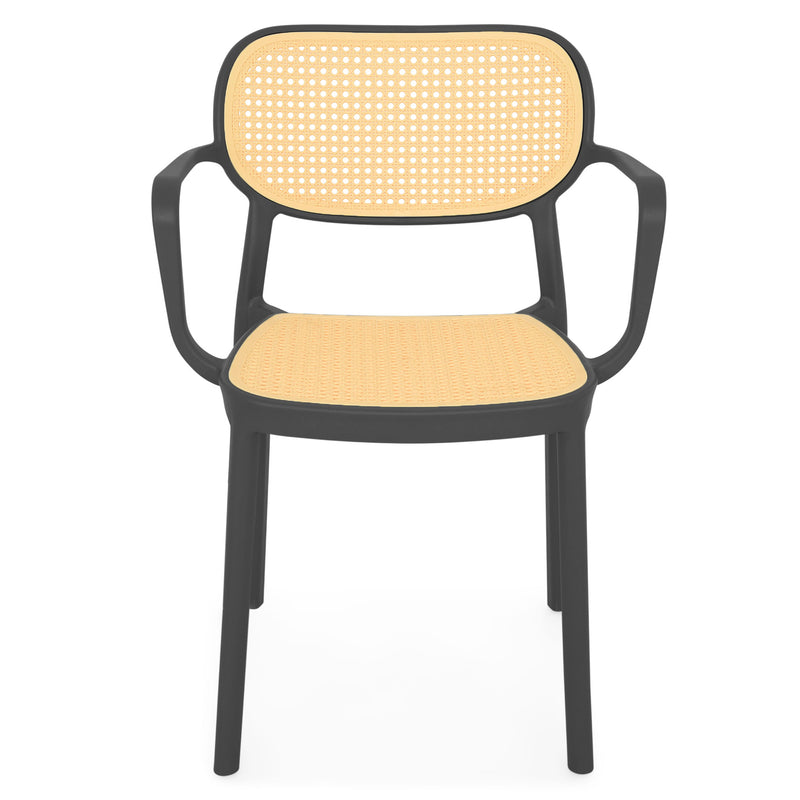TIPPUS/ALIVIO Set mobilier terasă/grădină, 2 scaune și masă