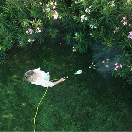 SANDOKAN Pulverizator lance anti-insecte