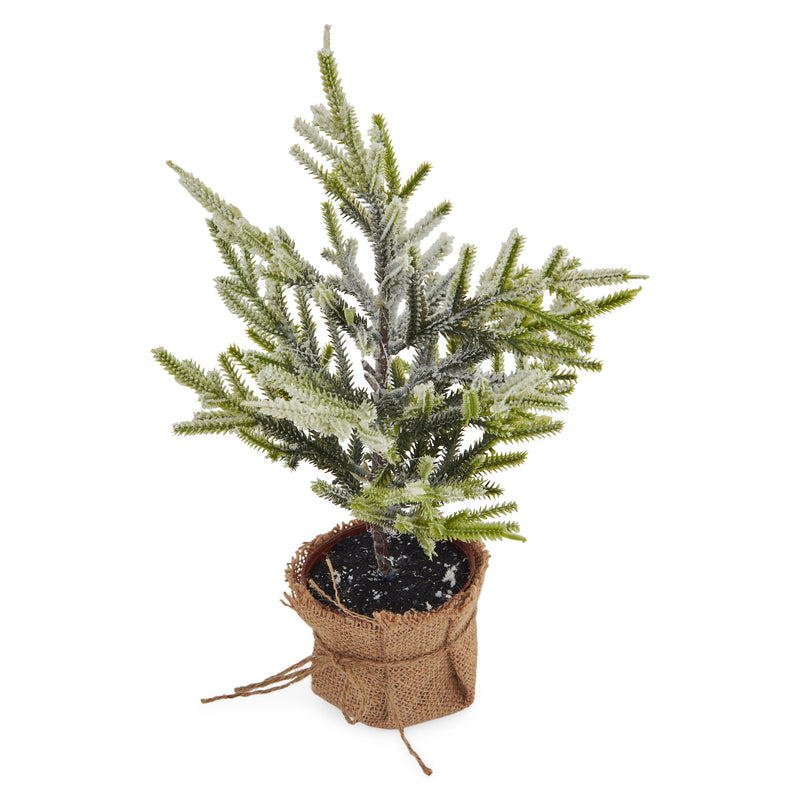 THUIA Copac artificial