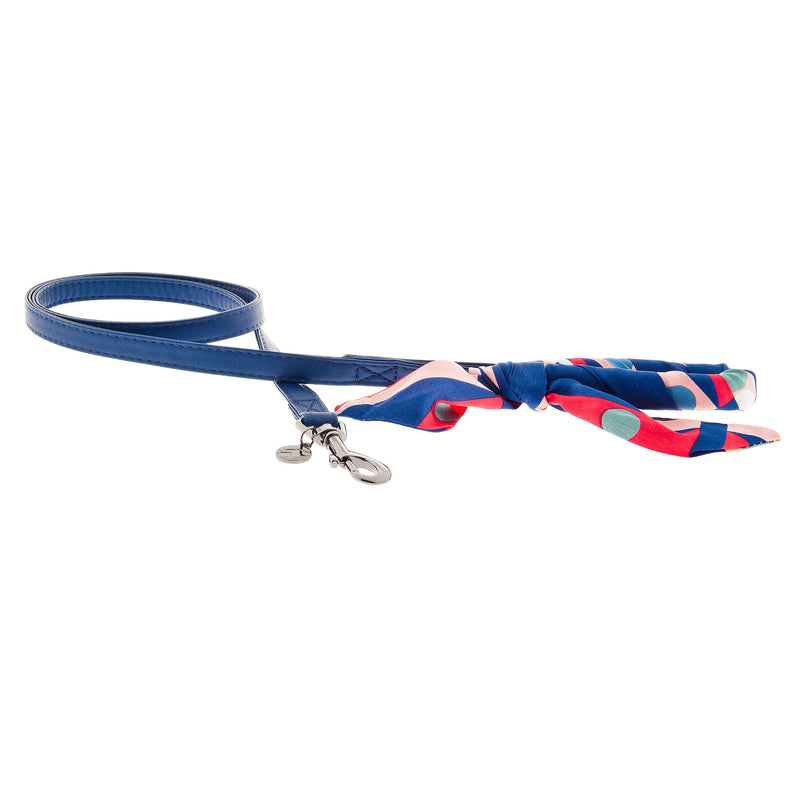 CARMEN Set lesă cu ham