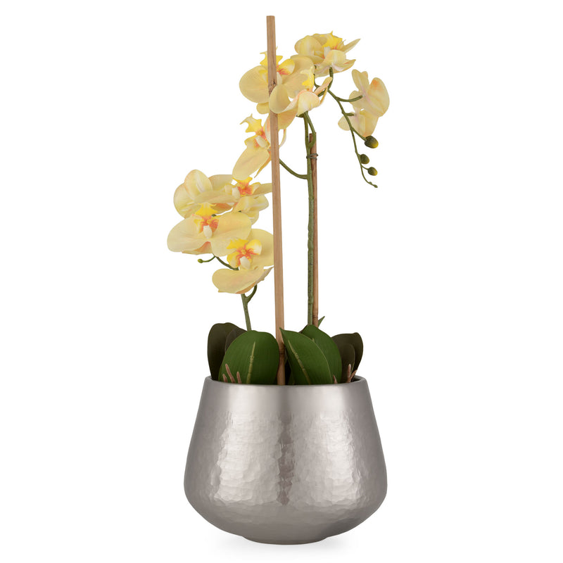 ILA Vas decorativ ghiveci