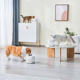 PAWGETHER Fântână pentru apă