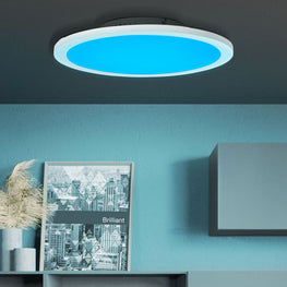 ABIE Plafonieră 1x24W LED