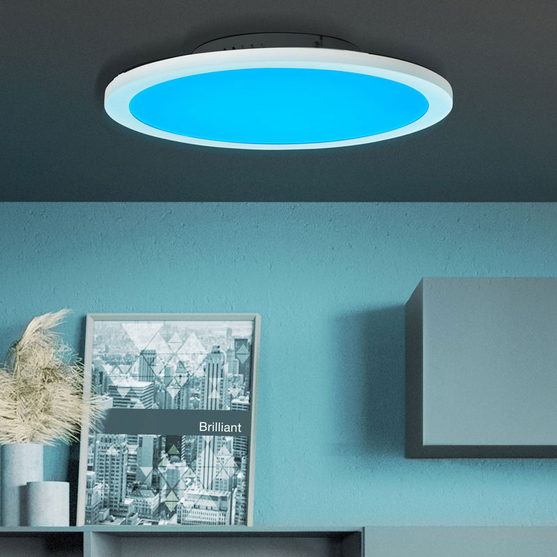 ABIE Plafonieră 1x24W LED