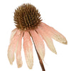 ECHINACEA Floare artificială