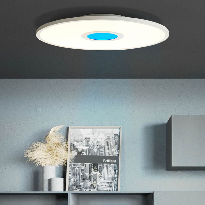 ODELLA Plafonieră 1x24W LED