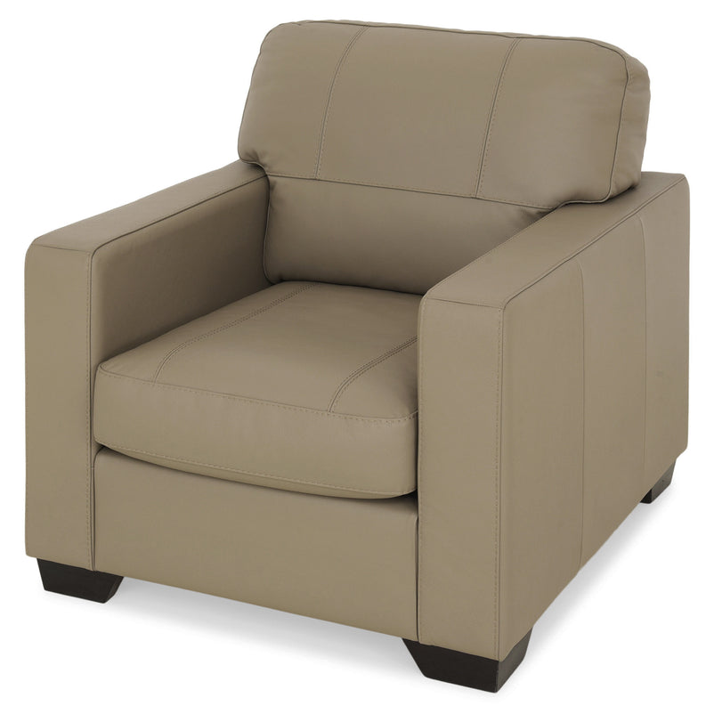 ASWAN Fotoliu, piele