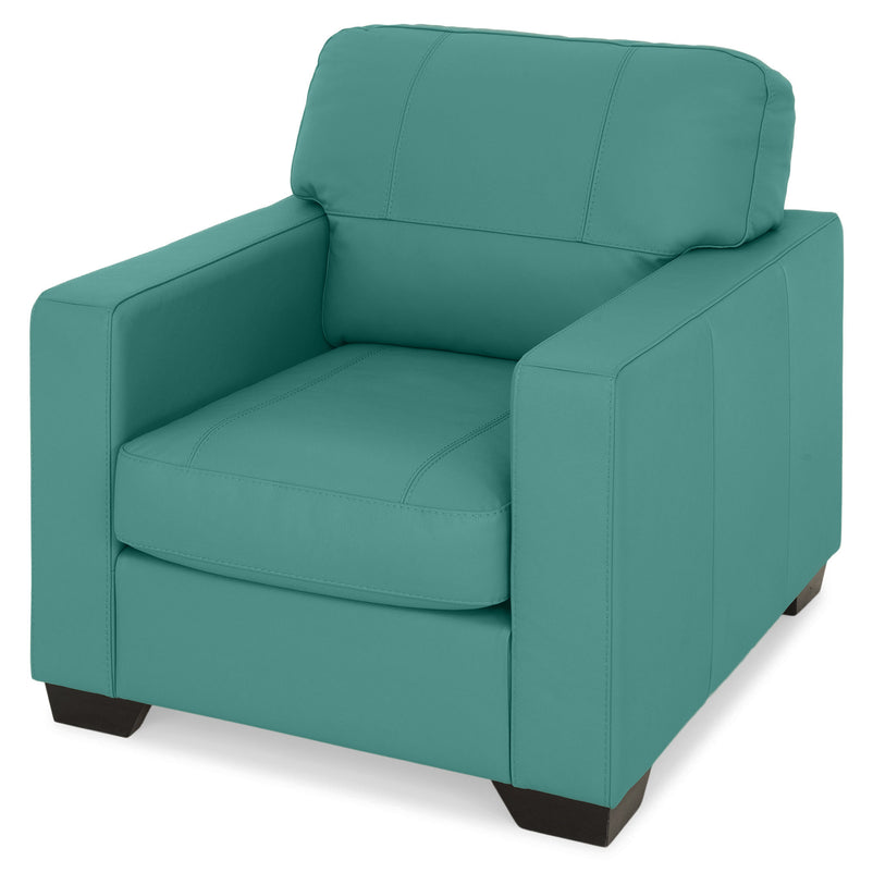 ASWAN Fotoliu, piele