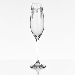 CHESTER Set 6 pahare șampanie, sticlă, 210ml