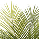 PALM TREE Copac artificial