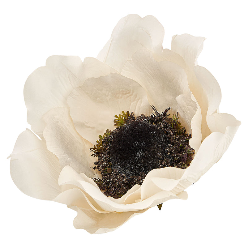 ANEMONE Decorațiune