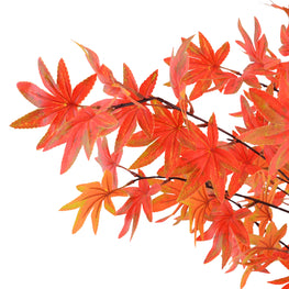 MAPLE Copac artificial în ghiveci