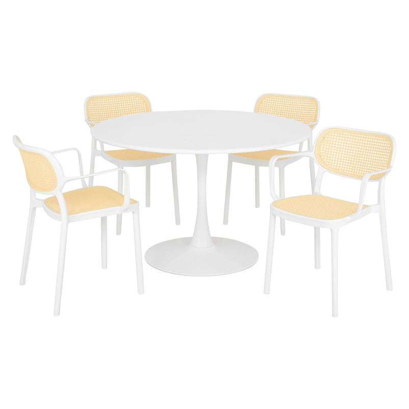 PLEZURO/ALIVIO Set mobilier terasă/grădină, 4 scaune și masă
