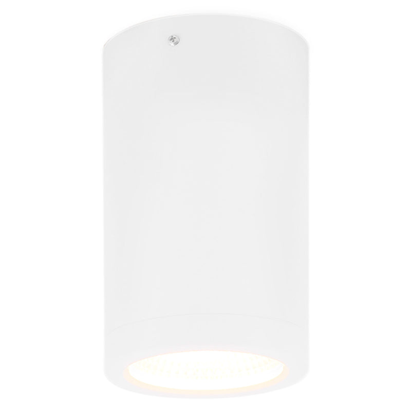 RENO Plafonieră 1x10W LED