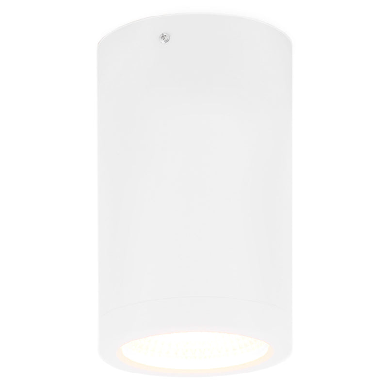 RENO Plafonieră 1x10W LED