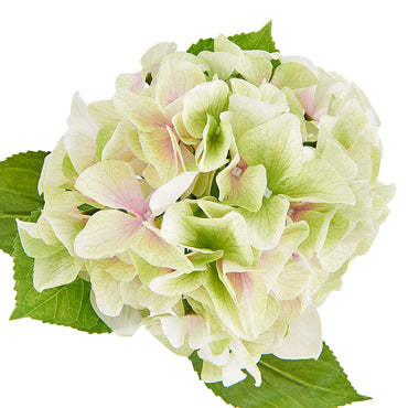 HYDRANGEA Floare artificială