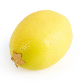 LAMAIE Fruct artificial