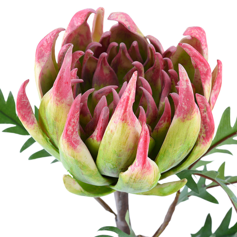 PROTEA Floare artificială