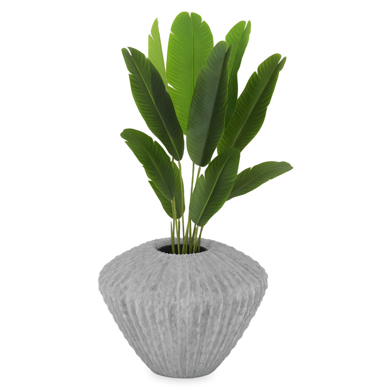 CACTUS Vas decorativ ghiveci