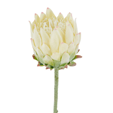 PROTEA Floare artificială