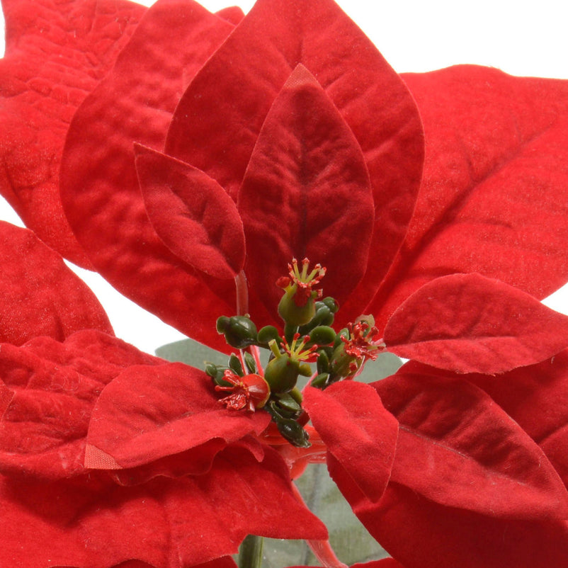 CRACIUNITA Floare artificială