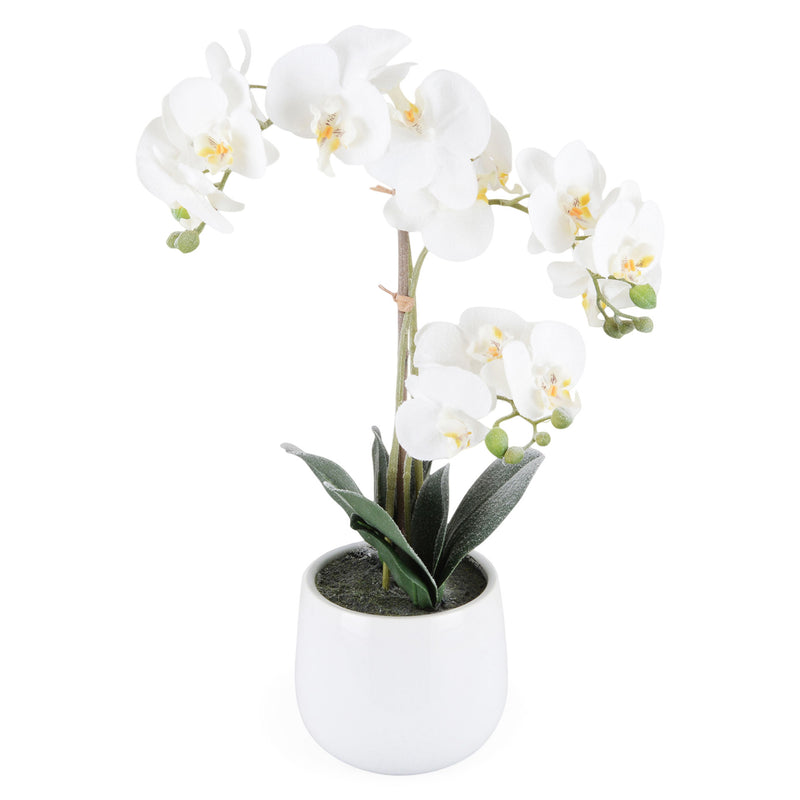 SNOWY ORCHID Aranjament flori artificiale