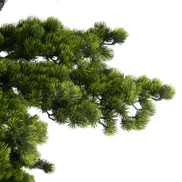 BONSAI Copac artificial, H.180cm