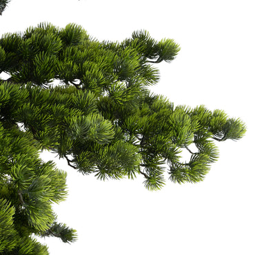 BONSAI Copac artificial, H.180cm