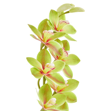 ORHIDEE CYMBEDIUM Floare artificială