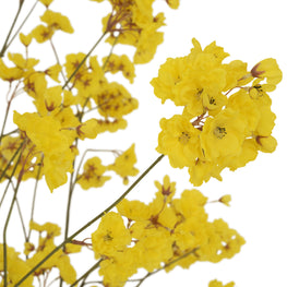 BELLFLOWER Copac artificial în ghiveci