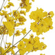 BELLFLOWER Copac artificial în ghiveci, H.220cm