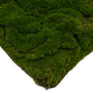 MOSS Plantă artificială