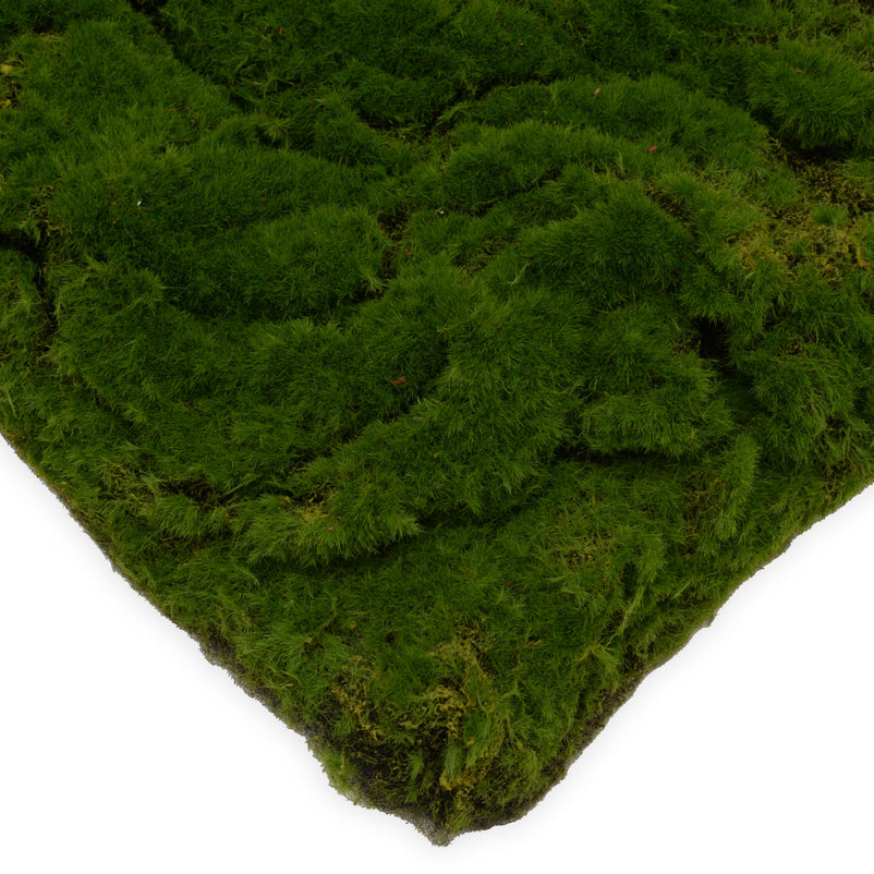 MOSS Plantă artificială