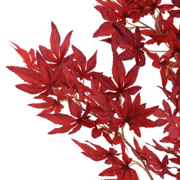 MAPLE Copac artificial în ghiveci