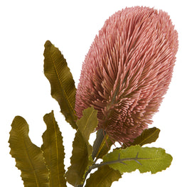 BANKSIA Floare artificială