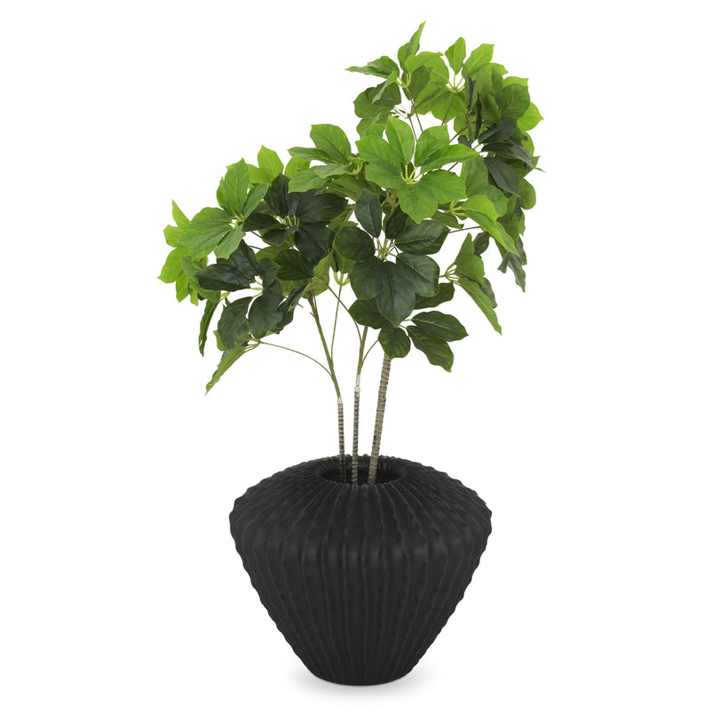 CACTUS Vas decorativ ghiveci