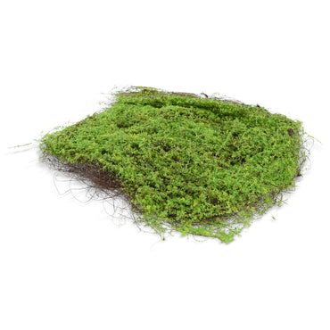 MOSS ZOLLA Mușchi artificial