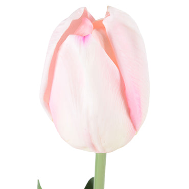 LALEA Floare artificială