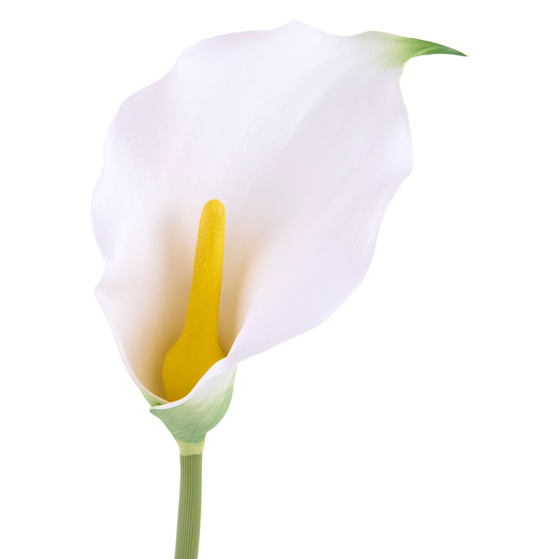 CALLA LILY Floare artificială