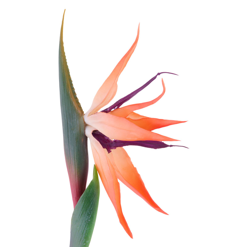 BIRD OF PARADISE Floare artificială