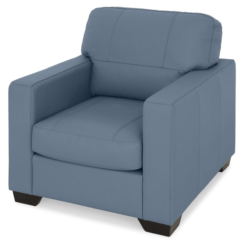 ASWAN Fotoliu, piele