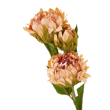 PROTEA Floare artificială